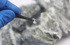 Asbestos